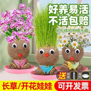 Grass-Headed Doll Small Potted Plant with Grass on Its Head for Kindergarten Kidsren to Grow Grass and Observe Growth, Creative and Cute Green Plants