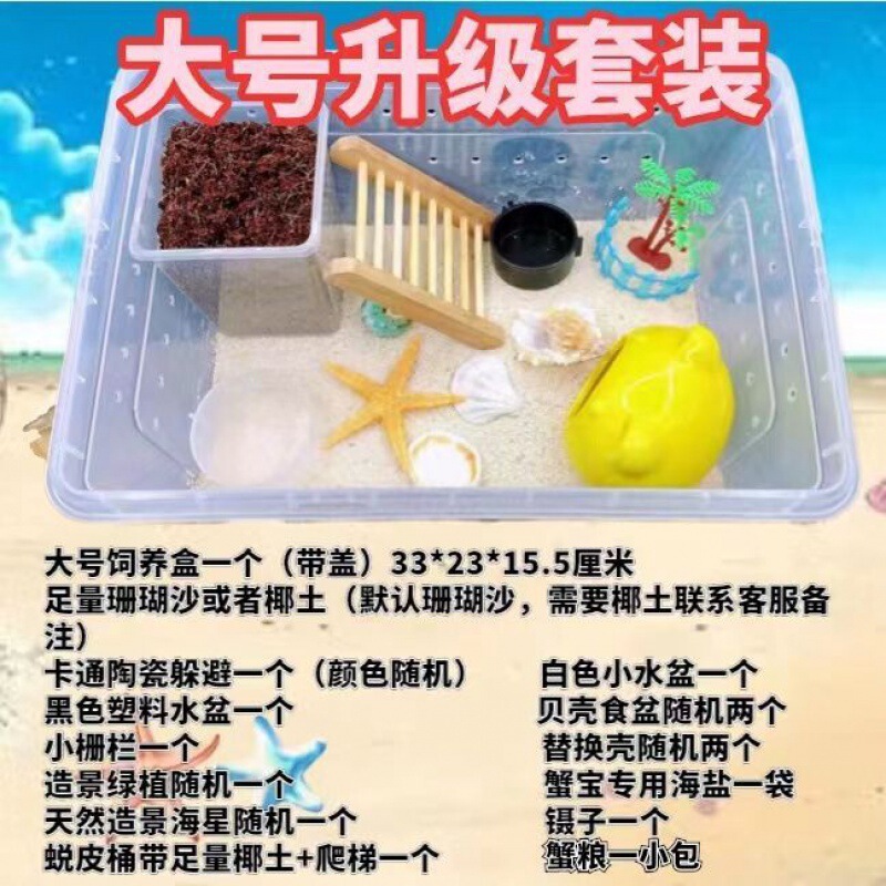 寄居蟹专用饲养爬宠饲养盒昆虫观察盒新手套装饲养缸寄居蟹套餐|undefined