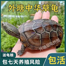 ���A����С�������������L�����𾀌����^�p��ˮ����ī��������