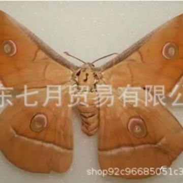 2025-07-25 20:14:51.jpg