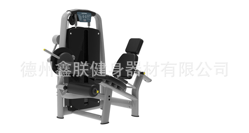 スペースタイノジックパワーマシン、ジム用シットダウンハイプル、チェストフライ、レッグ用業務用フィットネス機器一式|undefined