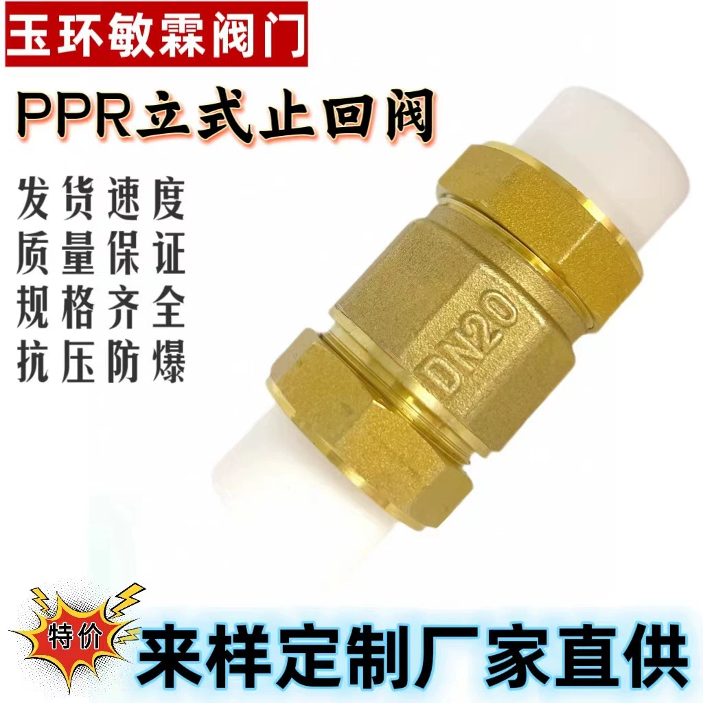 Медь PPR Вертикальный обратный клапан Горизонтальный обратный клапан одностороннего клапана 4 минуты 6 минут 1 дюйм термоплавкие фитинги водопроводный водопроводный антипольный клапан