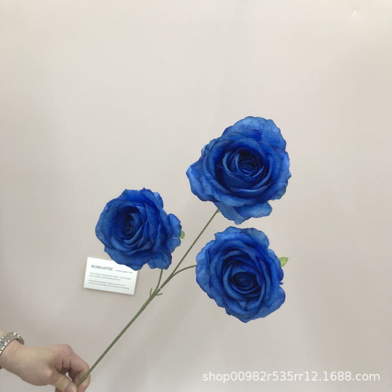 요술사 블루