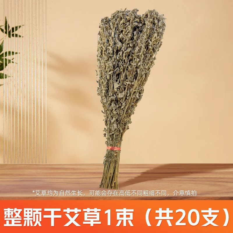 A bunch of 20 dried mugwort plants