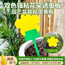 �S��ճ�x���E�R�����p����x�S�{�T�x��С���wճ�x���ļ��҃Ȍ���