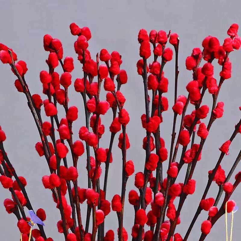 새해 축제 레드 [핫 스타일]-70 ~ 80.5cm 임펄스