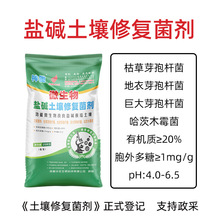 �S���r�I���}�|�������ޏ;�������ľù���ݲ�ѿ�ߗU��΢�������