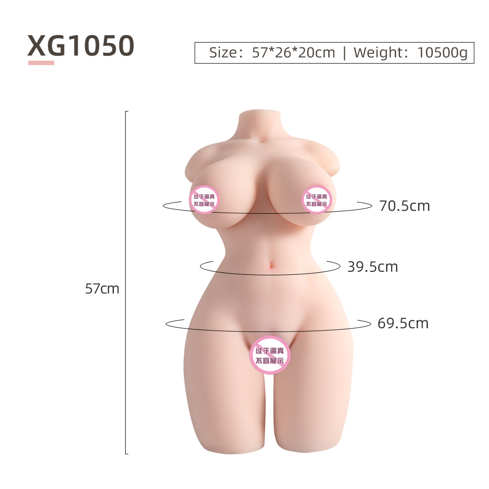 가슴이 있는 반신 금형 10.5kg