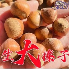 散装特产美国干坚果野原味水漏生大榛子500g饱满不开口零食配送袋