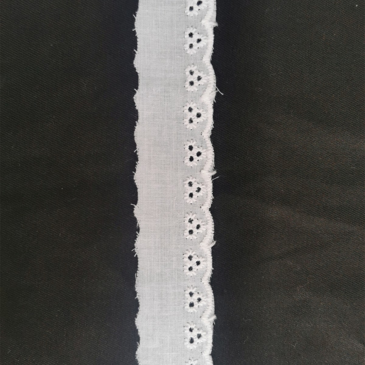 IMG_20230331_085109_副本