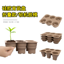 �羳�^�p�����̖����P������þG�}���⻨������Gֲ���z������