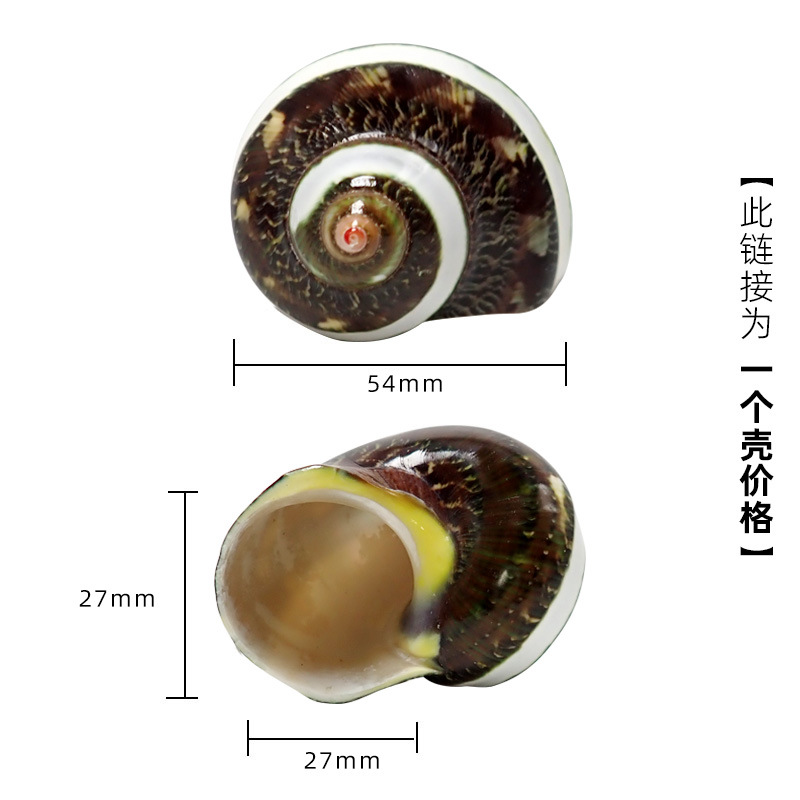 4-5cm 게에 적합한 부르고뉴 X60 호랑이 줄무늬 트랙 달팽이