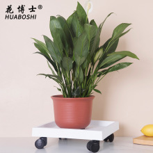 ����ʿ�S��ֱ�۰������莧�бP�A��͸��䓻���֬��ˮ�P���������l
