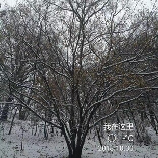 ��l�ʅ�����l�ʸ߶�2��10�׹ڷ�2��6���ͺ��@�־G������