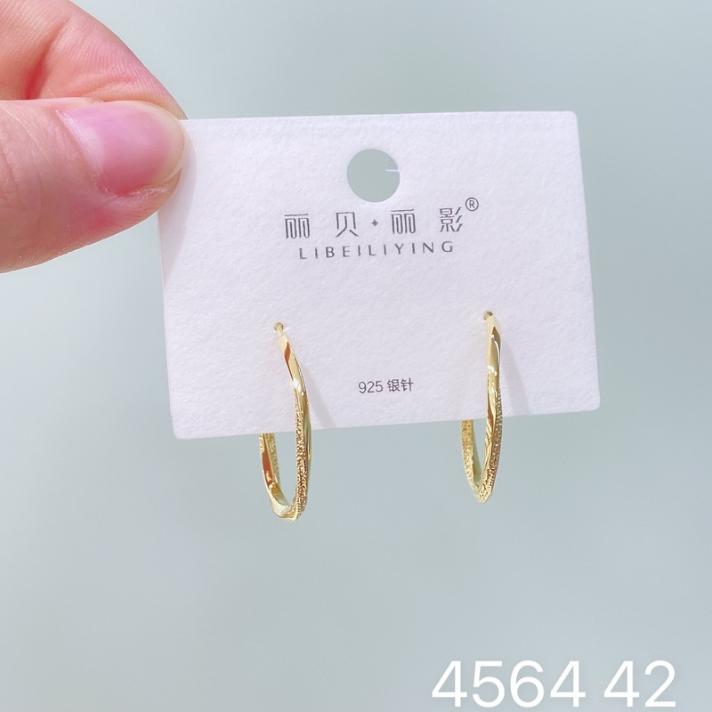 丽贝丽影丽银欧美时尚高级感素圈耳环2025新款爆款个性小众女耳圈|undefined