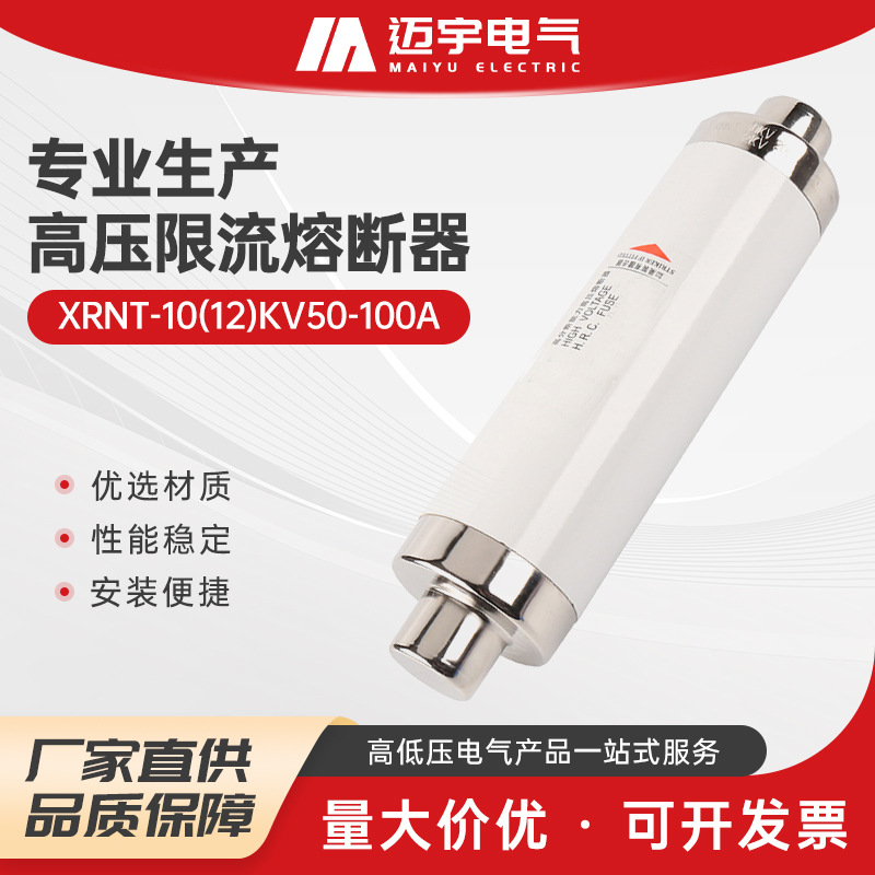销售高分断能力高压限流熔断器 XRNT-10(12)KV50-100A高压熔断器