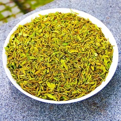 2025年新茶黄金芽茶片破片茶葉春茶明前高砕高泡緑茶メーカー卸売り直売