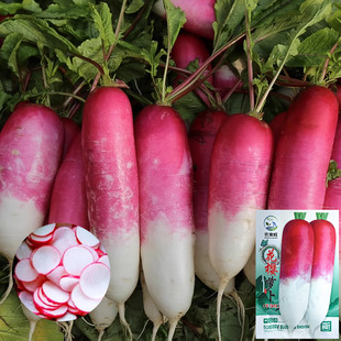 ���l�����}���N�����ˮ���}���N�ѼtƤˮ�}�����＾���Nֲ�߲���