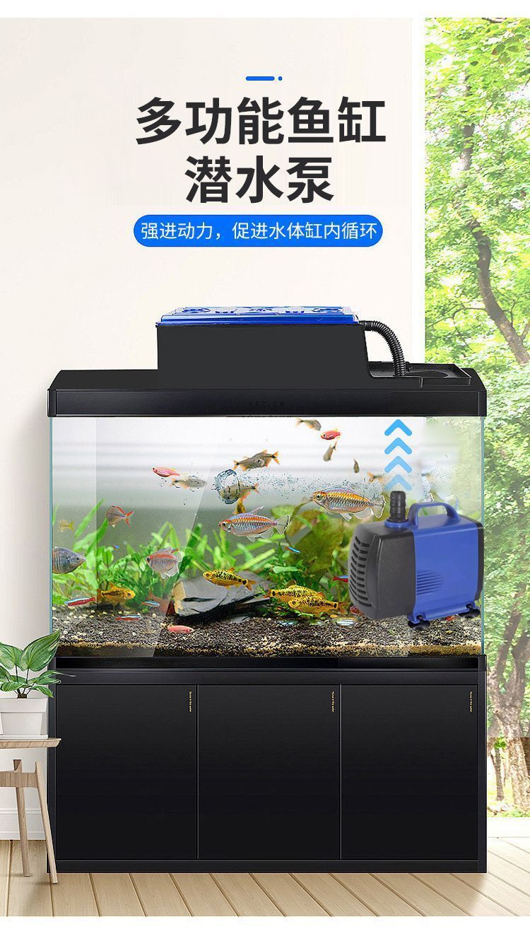 ee3d390d-7419-410a-857d-5aaf7534b486.jpe