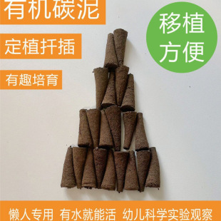 �o������Nֲ���|���g�����綨ֲ�̨�҃�ˮ��̼�ޟo��̼������