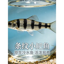 �Ї����~��H�l�yС?���w����̦�ͺ���ˮԭ���~Ϫ���~Ⱥ���^�p�~