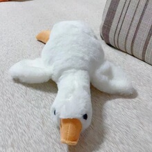 ����Z���lſ˯��ë�q��߶���ͬ���Ś������������޴��Z���п���