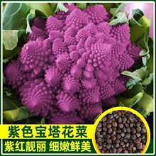 �ό������˷N���_�R��Ҭ�����r�ЙC�ϻ��N�Ӈ��a�����˻��N��ɫ