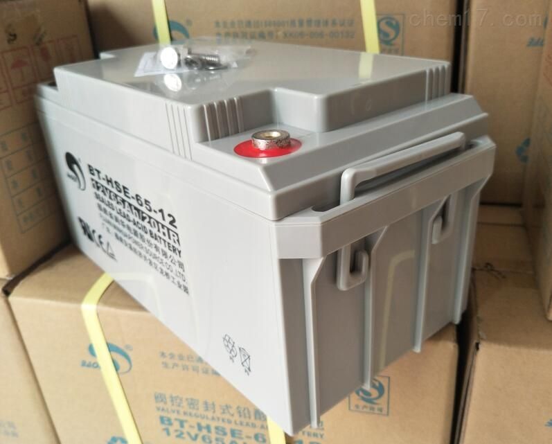赛特蓄电池BT-HSE-65-12/12V6H 机房设备直流屏电源铅酸免维护
