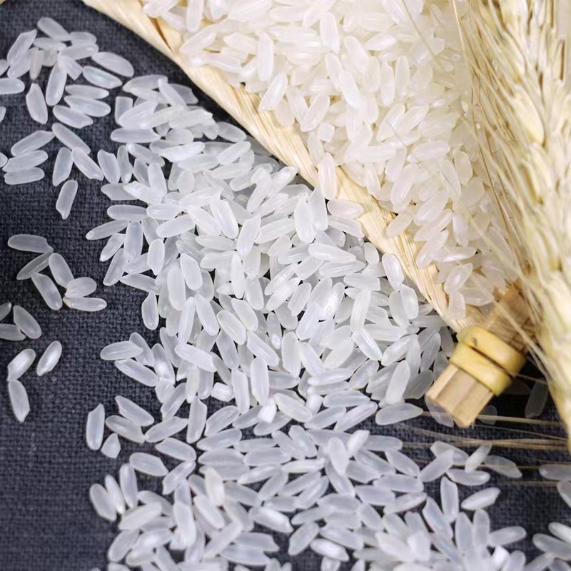 b2bb0e1851f1485f8a8f7bc6d80cdc