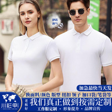 polo������T��������ӡ��logoӆ���ļ��F꠶����Ļ��V�������I��