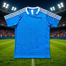 ���R25�͹�T�����{ɫ�������������