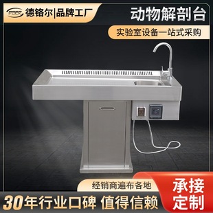 Stainless Steel Multifunctional Exhaust Animal Anatomy Table Laboratory Teaching Operating Table Cat and Dog Operating Table