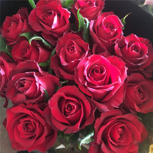 �������Zõ������������ϻ���ֱ�lˮ�B�r�л����˹�520����ֱ�N
