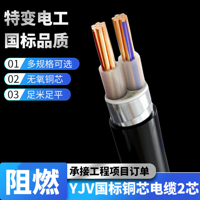 国标铜芯电缆线YJV 2 3 4 5芯10 16 25 35平方户外充电桩用 国标