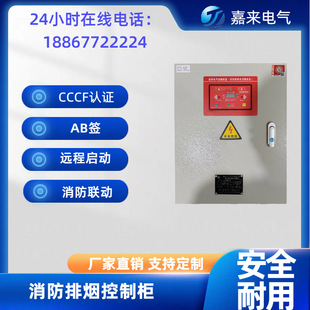 Dual Power Supply Fire Smoke Exhaust Fan Control Box 3Cf Certified Ip55 Emergency Fan Control Cabinet Fire Linkage