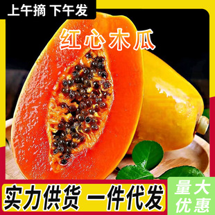 �V���t��ľ�����rˮ�����l������ľ��ţ�̱��������ڴ��������]