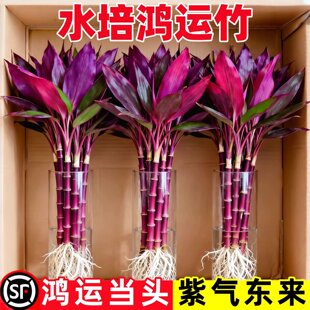 ���\��ˮ��Gֲ�����Կ͏d�������\��ؔ�����k���҃�������B���F