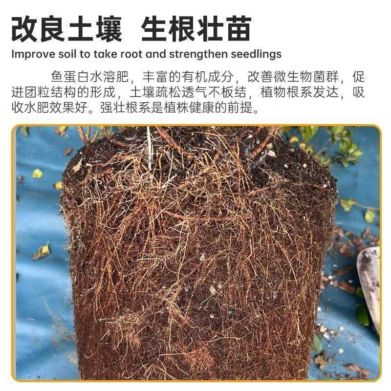 魚タンパク質水溶性肥料、アミノ酸、果物、野菜、花、一般葉面農業用養液、発根剤、魚腸肥料|undefined