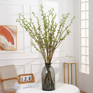 С����ֲ�������֦���l�b�֦�Ҿӷ������l�������϶�ɫ��ѿ