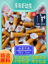 �����S���r�����~�~���_�ڿ�ȸ�~�Z�^�p�~��������ˮĸ���