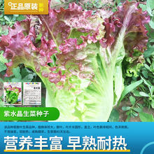 ��ˮ��ɢ�~���˷N�ӿ��^�p���˷N�Ѵ��~�����̨�ļ������߲˷N��