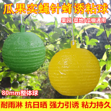 �Tω����ٴ�ω����С��ω�Ϲ�ᘷ��ʳω����ճ�x���ω�T����