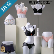 ����ģ��չʾ����Ů�����۔n���؃�ѝģ�ؼܼ����wģ�͵�����ģ