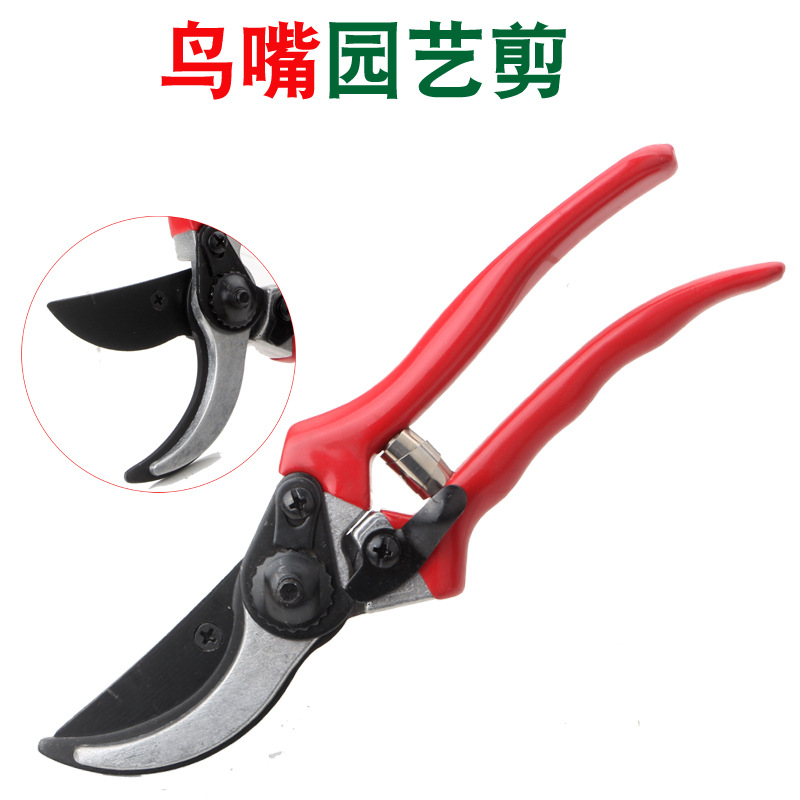 修枝剪刀果树剪刀花剪园艺剪刀花艺修剪树枝剪刀花枝剪修花粗枝剪
