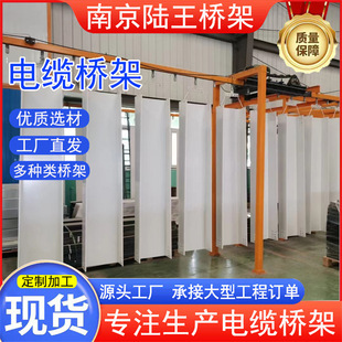 Spray Plastic Cable Bridge Manufacturer 200*100 Fire Protection Cable Tray Box Ladder Type Slot Type Fireproof Spray Plastic Cable Bridge