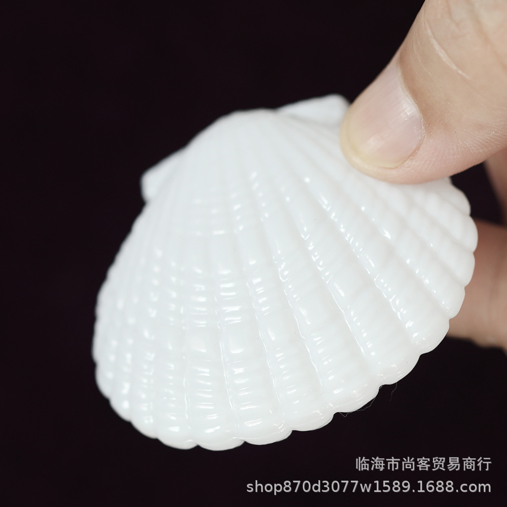 白色贝壳7.jpg