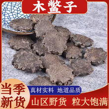 广西木鳖子中药材正宗新货木鳖籽仁漏苓子藤桐子干货土木鳖地桐子