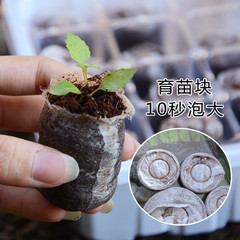 Gardening seedling box cutting pot sowing seedling box leaf plug tray stuffy cover 12 holes 6 holes seedling box leaf insert soil