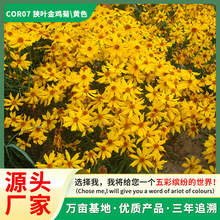 M~uշNl@־Ǧlѿʱ׷Nֲͺͺ