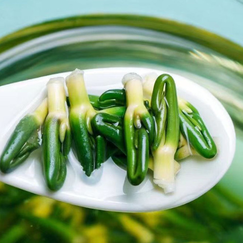 Canned lotus heart new arrival lotus heart lotus heart tea herbal tea substitute tea traditional Chinese medicine wholesale distribution